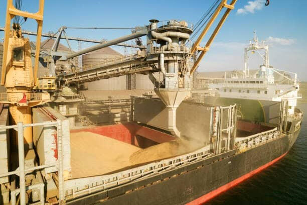 Bulk Wheat Loading at Port Terminal Bulk wheat loading into cargo vessel at port terminal for international shipment and large-scale supply