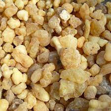 Ethiopian Frankincense Resin – Natural Aromatic Export Golden frankincense resin chunks harvested from Ethiopia, representing Afra Sourcing’s natural product supply line
